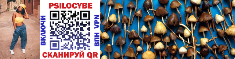 Галлюциногенные грибы Psilocybe  darknet официальный сайт  Тбилисская 